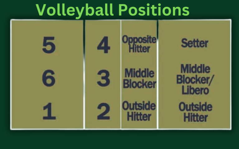Volleyball Positions and Their Role in Game
