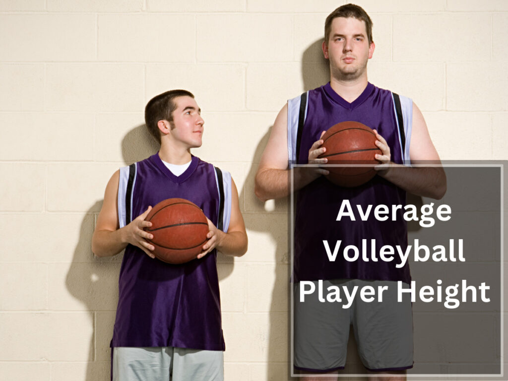 Average Volleyball Player Height