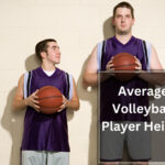 Average Volleyball Player Height